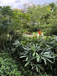 The Watergardens At Canberra (D27), Apartment #583881751